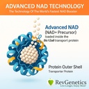REVGENETICS Advanced NAD+ papildinājums, 60 kapsulas - uztura papildinājums veselīgai novecošanai un noturībai