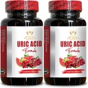 Uric Acid Support - dabas papildinājums veicināt nieru atbalstu, locītavu atbalsts un aktīvā mobilitāte, Uric Acid Support Papildinājums - 2 pudeles 120 kapsulas