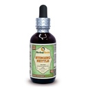 Herbal Terra LLC Stinging Nettle (Urtica Dioica) Glicerīts, Organiskās Žāvētas lapas Alkohola-bezūdens šķidruma ekstrakts 2 un