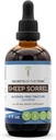 Aitas Sorrel Tinktūra Bezspirta ekstrakts, aitas Sorrel (Rumex Acetosella) Kaltēts Herb Tincture papildinājums 4oz