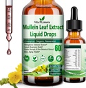 Mullein Drops for Lungs, Organic Mullein Leaf Extract for Lung Detox w. Hlorophyll Elderberry Oregano Oil Resveratrol Mullein Tincture Alcohol Free, Original Flavor, 2 f Fl/Oz