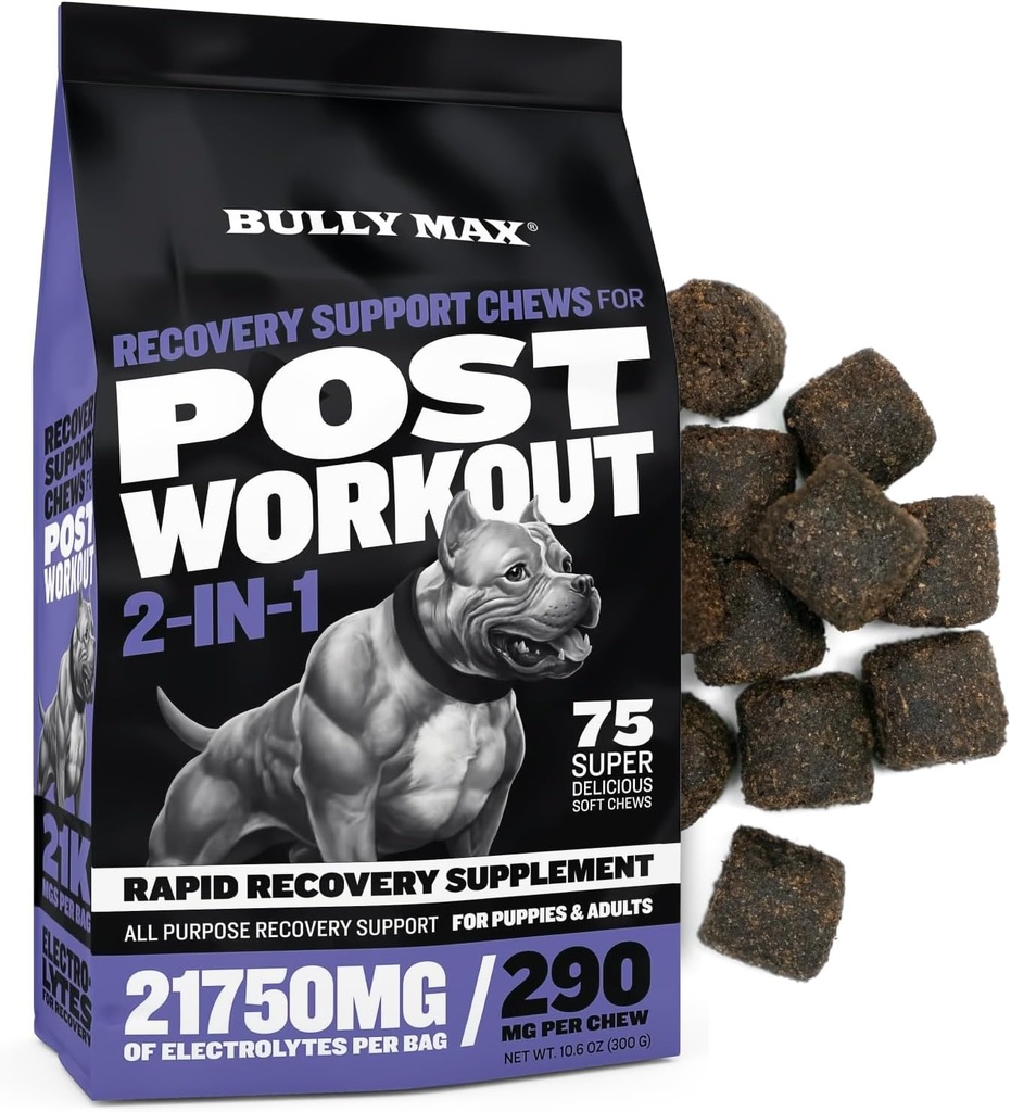 Bully Max 2-in-1 post-workout Recovery Support Chews - Suns Vitamīni un uztura papildinājums maziem un lieliem Šķirnēm - Kucēnu un pieaugušo suņu hidratācija un elektrolītu papildināšana - 75 Soft un garšīgs košļājamās