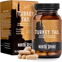 North Spore Organic Turkey Aste Extract Sēņu piedevas Kapsulas - Stamina & Izturība - 60 Day Supply - Augstas potences Blend - 100% Fruiting Body Extracts - Vegan, Non-GMO -- 120ct