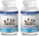 Dabas aizsardzības līdzekļi suņu urīna nesaturēšanai - DOG URINARY TRACT ATBALSTS - DABAS KRANBERIJAS ŠĶĪDUMS - BLADDER VESELĪBA - PIA REKOMENDĒTS - kukurūzas zīda papildinājums suņiem - 2 pudeles (180 Ārstniecības)