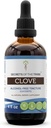 Cimda noslēpumi Clove Tincture Bezspirta šķidruma ekstrakts, cimds (Syzygium Aromāticum) Kaltētas puķu pumpuri (4 FL OZ)