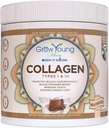Aug Young Fitnesa kolagēna proteīns - piena šokolādes, veicina ādu, kaulus, locītavas, svara zudums, bez cukura (12.41 oz) (1 Pack, 20 Servings)