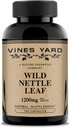 Savvaļas Nattle Leaf kapsulas ; Atbalsta Veselīga šķidruma līdzsvara un urīna traktējumu jautājumi ; 100% Natural Organic Herbal Papildinājums 1200mg; 100 Iepakojums