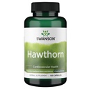 Swanson Hawthorn ekstrakts (standartizēts) 250 Milligrams 120 Kapsulas
