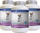 Reljefs suņu caureja - PROBIOTICS suņiem - Veselīgi Gut - Apturiet gāzu caureju un sliktu elpu - Gremošanas Boost - Suņu probiotikas un Gremošanas enzīmi - 3 pudeles (180 Ārsti)