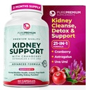 PurePremium Niere Support Papildinājums – Nieru tīrīšana Detox & Remonts ar Dzērveņu ekstraktu un Astragalus - 21-in-1 komplekss Atbalsta Normāls urīnpūslis, Urīnceļu un nieru veselība - 60 Day Supply