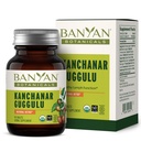 Banānu botānika Kanchanar Guggulu tabletes – Organic Limf papildinājums ar Guggulu Rezin – veicina veselīgu elimināciju dabas toksīni* – 90 tabletes – Nav GMO Ilgspējīgi Avots Vegan