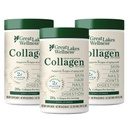 Great Lakes Wellness Kolagēna peptīdi Pulveris ādai, matiem, nagiem, locītavām un gremošanas - Neuzliesmojošs - Ātri izšķīdina Hidrolizēts, Ne-GMO, Keto, Kosher - 16 oz - 3 iepakojums