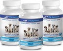 Urīna nesaturēšanas terapija suņiem - DOG URINARY TRACT ATBALSTS - DABAS CRANBERRY ŠĶĪDUMS - BLADDER VESELĪBA - PIA REKOMENDĒTS - dzērveņu urinācija - 3 pudeles (270 Ārstniecības)
