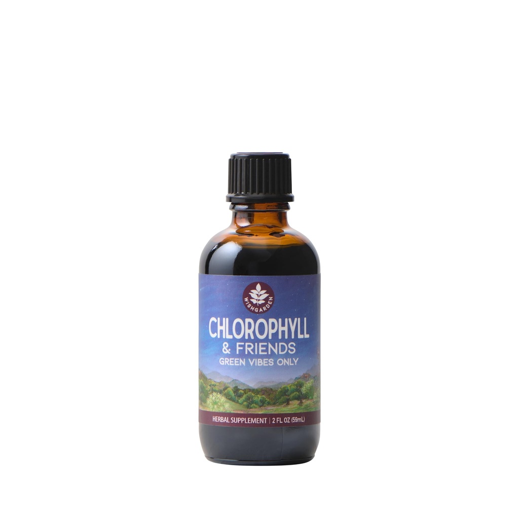 WishGarden Herbs Chlorophyll & Friends - hlorofila šķidrs pilieni ar Nattle Leaf, Holy Basil, Moringa Leaf & Peppermint Leaf, atbalsta pastiprināta enerģija, veselīga imūna, & stresa reakcija, 2oz