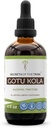 Noslēpumi Tribe Gotu Kola Tincture Alkohola šķidruma ekstrakts, Gotu Kola (Centella Asiatica) Kaltēts Herb (4 FL OZ)