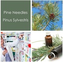 HPDC+ Veselības un uztura pīniju adatas C vitamīna, bioflavonoīdu, antioksidantu, šikimiskās skābes (100ml / 3.38 fl oz) dabīga šķidruma ekstrakta tonēšana