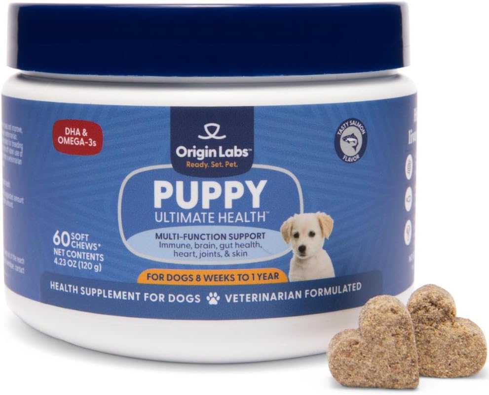 Izcelsme Labs Puppy Multifunkcional Support DHA Omega 3 Papildinājums, Savvaļas Aļaskas lašu eļļa, Probiotika Gut veselībai, Imūnsupport, Sirds, Āda, Smadzenes, Kopīga veselība, Lašu Flavor, 60 Soft Chews