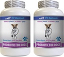 Suņi Gremošanas līdzekļi - PROBIOTICS suņiem - Veselīgi Gut - Apturēt gāzes Caureja un slikta elpa - Gremošanas Boost - Suņu probiotikas Vitamīni - 2 pudeles (120 Ārstniecības)