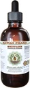 Shiitake Alcohol-free šķidruma ekstrakts, Organic Shiitake (Lentinula Edodes) Kaltēts sēņu glicerīts Dabīgs augu papildinājums, Hawai Pharm, USA 2 fl.oz