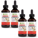 Maxx Herb Ashwagandha ekstrakts – Max Strength Šķidrā Tinktūra Absorbi labāk nekā kapsulas vai pulveris - par izturību, atmiņa, un imūno atbalstu – 4 pudeles, 4 Oz Katrs (240 Kalpo)
