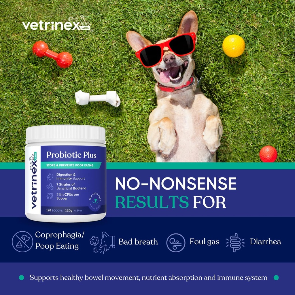 Coprophagia Poop Ēšanas deterrent & novēršana, Apturēt & Novērst stūlošanās ārstēšana - Probiotikas suņiem, kaķiem un kucēniem - aizliedz suns no ēšanas Poop - probiotisks pulveris (120 GMS)