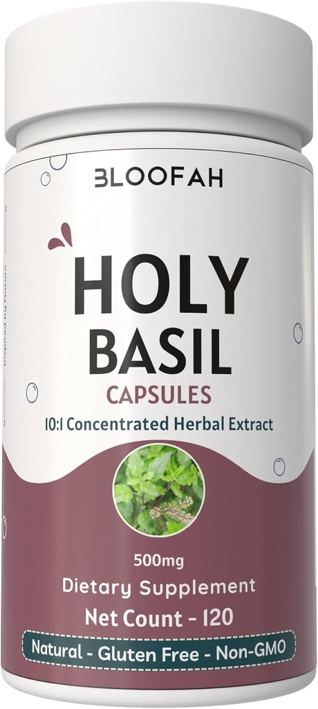 Svētās Basil Leaf kapsulas 500mg • Koncentrēts 10:1 Ekstrakts Ocimum tenuiflorum Ārstniecības augu papildinājums 