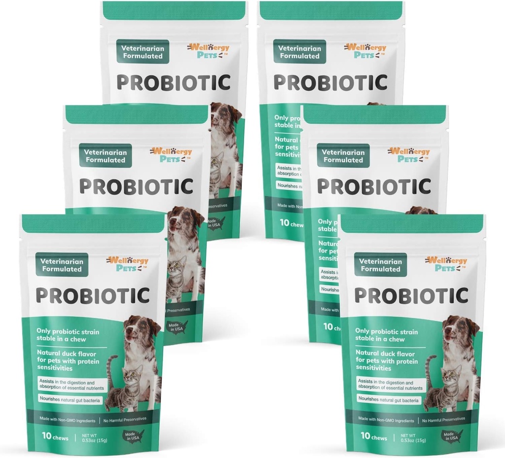 Wellnergy Daily Probiotikas & Prebiotikas Soft Chew suņiem un kaķiem - Gremošanas atbalsts Caureju, Aizcietējums, Uzsākt kuņģa, gremošanas traucējumi & Gāze - palīdz Gremošanas, Alerģija ādas un imūnās veselības 60ct