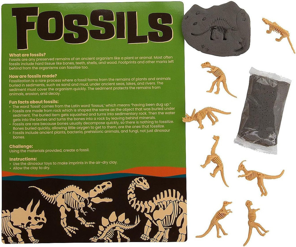 Fun Express izveidot savu Fossil Craft komplekts - Make 12