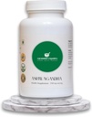 Ashwagandha Saknes ekstrakta papildinājums - 100 kapsulas, 600 mg uz vienu Kalpotāju, Organic, Vegan, Non-GMO, Bez lipekļa, Stress Relief & Imūnsupport
