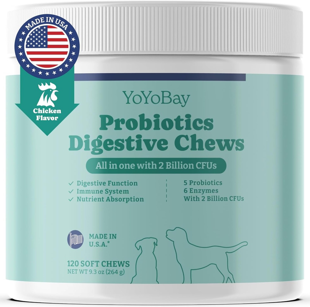 Probiotikas suņiem, Dog Probiotikas un prebiotikas ar enzīmiem, Gut un gremošanas veselības un rauga līdzsvars, Atbalsts Imūnsistēma, Vistas Flavor, 120 Soft Chews
