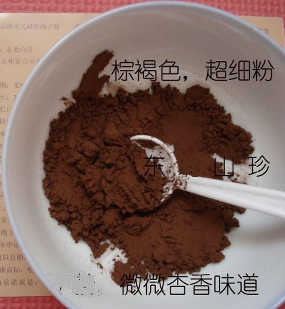 Duan-Wood 98% Shell-Broken LINGZHI Ganoderma Reisi Spore Pulveris 100Grams (3.5 oz.) Vakuuma pakete