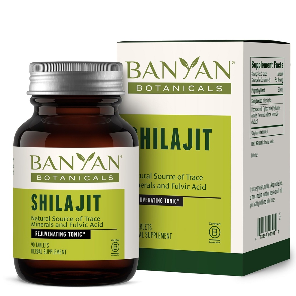 Banānu botānika Shilajit – organisks un ilgtspējīgs minerāls Pitch – Minerāls Rich Shilajit papildinājums dabas detoksikācijai un veselīgai novecošanai* – 90 tabletes – ne ĢMO Ilgtspējīgi Izdots vegans