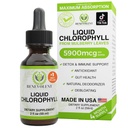 Labvēlīgs hlorofila šķidruma pilieni – Detox un Imūnsupport, iekšējais dezodorators un ādas veselības papildinājums, ne-GMO, 4 mēnešu piegādes, dabas piparmētru Flavor