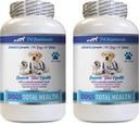 PET SUPPLEMENTS & UZTURĒŠANA LLC Dog Dental Hygiene - Suņi Kopējā veselības kontrole - Imūnsupport - Matu ādas nagus Mutes acu veselības formula - Mutisks kalciju suņiem - 2 pudeles (120 Ārstniecības)