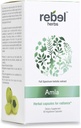 Rebel herbs Amla kapsulas (Amalaki) - Imūnsupporta, vegana, bezglutēna, ajūrvēda, antioksidants, sertificēta organiskā amla