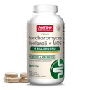 Jarow Formulas Saccharomyces Boulardii + MOS Probiotikas gremošanas veselībai un zarnu tract Support - 5 miljardi KVV Per Servē - 90 Aizkavēts Release Caps - Probiotic + Prebiotic - 90 Servējumi