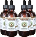 Kordicepss Bezalkohola šķidruma ekstrakts, Cordyceps (Cordyceps Sinensis) Sēņu Glicerīts Hawai Pharm Dabīgais augu papildinājums 4x4 oz