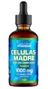 Celulas Madres Stem Cell Support, Plant-Based, Adaptogen Blend,Cordyceps, Rhodiola Rosea, Afa, Astragalus, B Complex, Reishi, Ganoderma, Zila-Zaļa Aļģes, Spirulina, 1000mg Dabīgs 13 Galvenās sastāvdaļas.