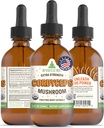 RawGuru Cordyceps Sēņu papildinājums - Vegan Cordyceps Extract with Trace Minerals - Nano-Processed Immunity Boost & Cognitive Papildinājums Tincture - 60 Kalpo Vegan Pilieni uz 60 ml, iepakojumā 1