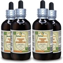 Tītara astes sēnes (Trametes Versicolor) Tinktūra, žāvēta sēņu šķidrā ekstrakts (zīmuļa nosaukums: HerbalTerra, Proudly Made in USA) 4x4 fl.oz (4x120 ml)