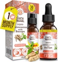 GuruNanda Liquid Ashwagandha ar Bacopa (1 Fl Oz) - Dabīgs uztura bagātinātājs- Šķidrā ekstrakta pilieni - vīriešiem un sievietēm - vegāni un bez alkohola - AIDS imūnās, fokusa un relaksācijas atbalsts