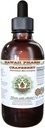 Dzērvenes Bezalkohola šķidruma ekstrakts, Dzērvenes (Vaccinium Macrocarpon) Kaltēts Berry Glycerite Hawai Pharm Dabīgais augu papildinājums 2 un