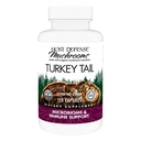 Host Defense Turkey Aste Capsules - Gremošanas Veselības un Imūnās Response Papildinājums - Sēnes Papildinājums Gastrointestinālai un Gut Mikrobiomas Atbalsts - 120 Kapsulas (60 Servējumi)*