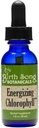 Dzimtā dziesmu Botānikas Energizer Chlorophyll Tincture, Super Koncentrēts Šķidrā hlorofila pilieni, Herbal Enerģijas Atbalsta Papildinājums un Iekšējais Deodorizer, Piparmētru Flavor 1oz pudele