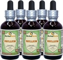 Psillijs (Plantago Ovata) Glicerīts, Organisks Kaltēts Husk Bezspirta šķidruma ekstrakts (zīmuļa nosaukums: HerbalTerra, Proudly Made in USA) 5x2 fl.oz (5x60 ml)