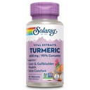 SOLARAY Turmeric papildinājums 600mg - Turmeric Saknes ar 95% Kurkumīns - locītavu atbalsta papildinājums - Kopīga veselība, Žultspūšļa un aknu atbalsts, Non-GMO, Vegan, Gluten bezmaksas, 60 dienu garantija, 60 Kalpo