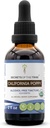 California Popy USDA Organiskā Tincture  - Alkohola-FREE ekstrakts, augstas devas augu pilieni - Izgatavots no 100% Certified Organic California Magpy (Eschcholzia Californica) Kaltēts augu un ziedu (2 oz)
