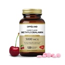 Metil B-12 5000mcg Košļājams ar Folātu - B12 vitamīns Metilkobalamīna tabletes lietošanai zem mēles - atbalsta enerģijas un smadzeņu funkcijas - Vegan papildinājums - Ķiršu Flavor - 120 Skaits