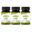 Amla 120 tabletes – USDA Organic Indijas ērkšķogas – bagātas ar C vitamīnu un atbalsta imūno veselību* – iepakojumā 3
