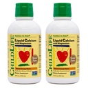 ChildLife Essentials šķidrā kalcija papildinājums bērniem - Baby Kalcijs ar magnija, cinka un vitamīna D3 - Orange Flavor, 16 fl oz (2 iepakojums)